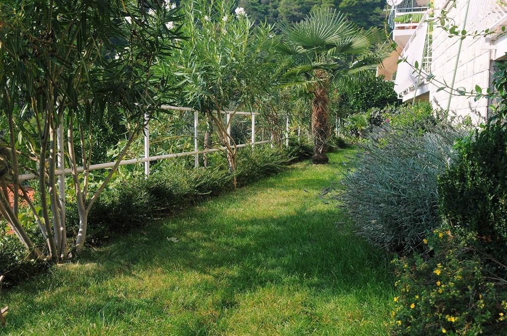Apartments Villa Adria ラバック エクステリア 写真